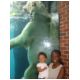 4. Central Park Zoo.html