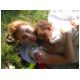 8. Julie.html